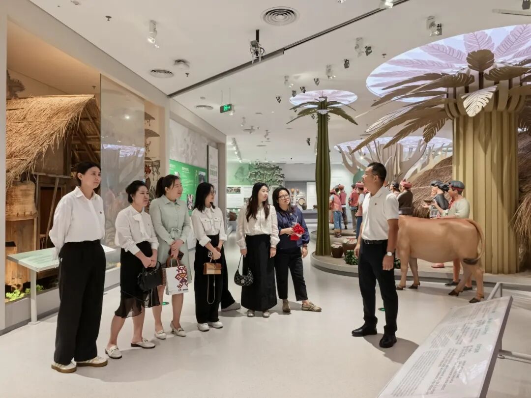 海南省交通投资集团有限公司
